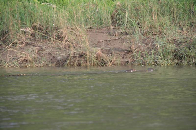 India & Nepal 2011 - 0584